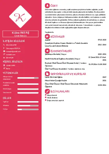 Çocuk Bakıcısı CV Örnekleri cv indir